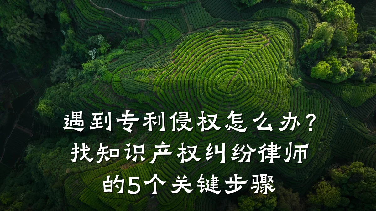遇到专利侵权怎么办？找知识产权纠纷律师的5个关键步骤