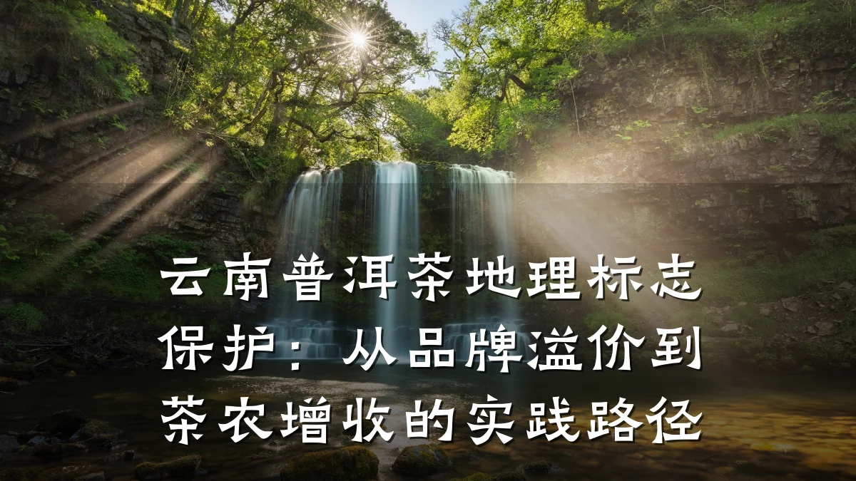 云南普洱茶地理标志保护：从品牌溢价到茶农增收的实践路径