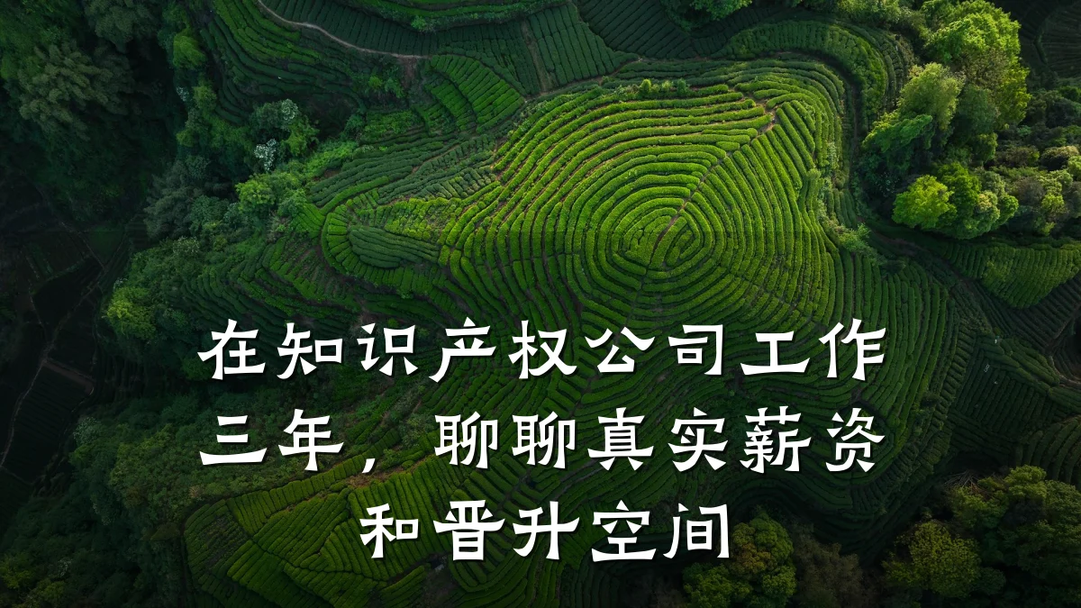 在知识产权公司工作三年，聊聊真实薪资和晋升空间
