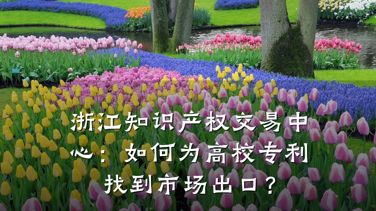 浙江知识产权交易中心：如何为高校专利找到市场出口？