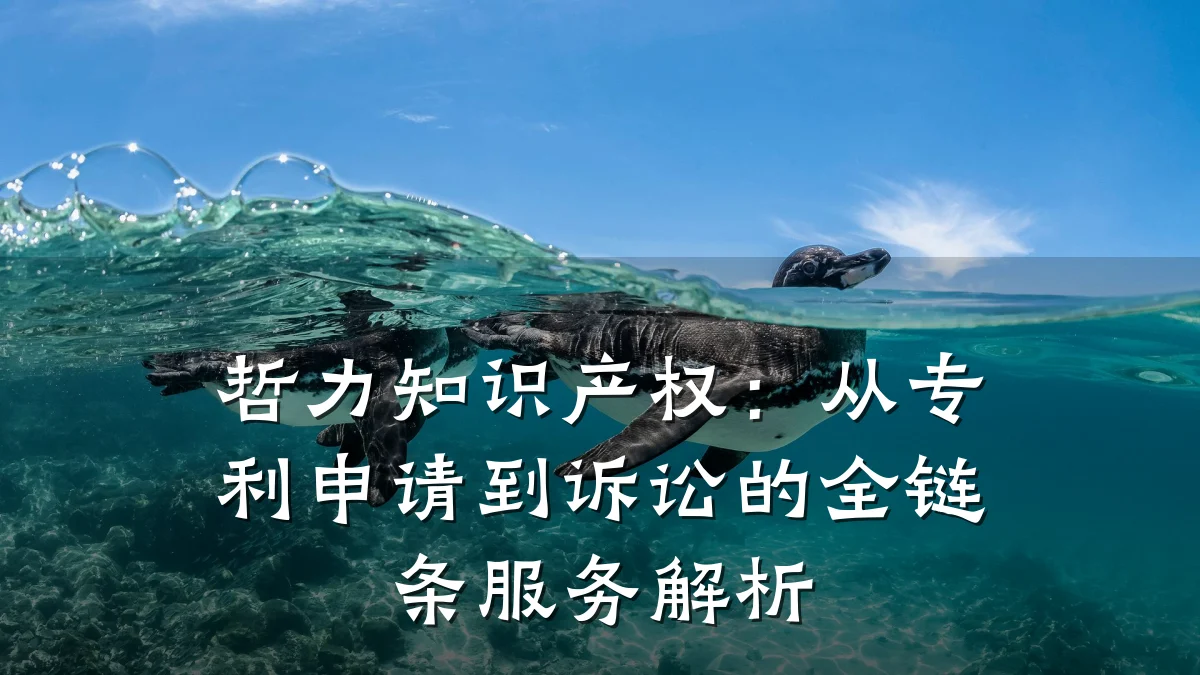 哲力知识产权：从专利申请到诉讼的全链条服务解析