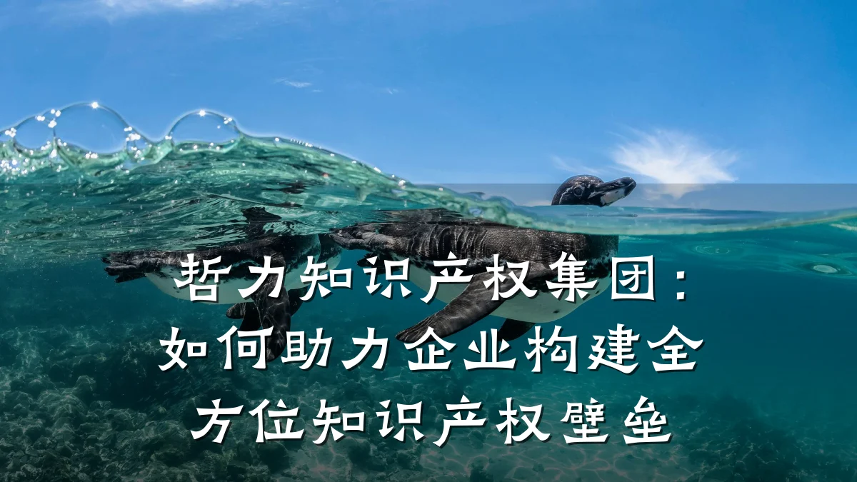 哲力知识产权集团：如何助力企业构建全方位知识产权壁垒
