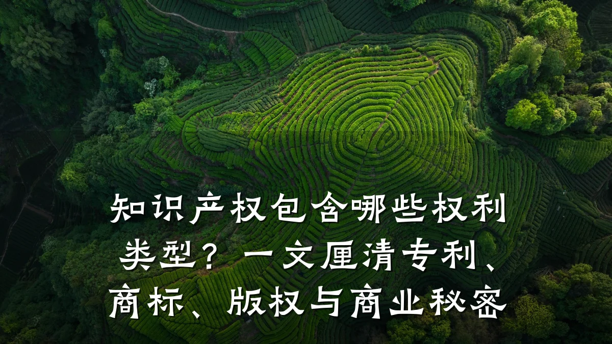 知识产权包含哪些权利类型？一文厘清专利、商标、版权与商业秘密