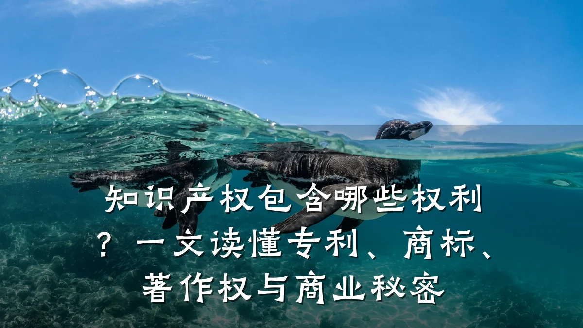 知识产权包含哪些权利？一文读懂专利、商标、著作权与商业秘密