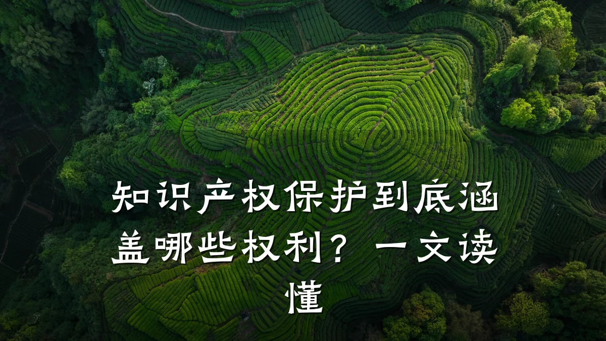 知识产权保护到底涵盖哪些权利？一文读懂