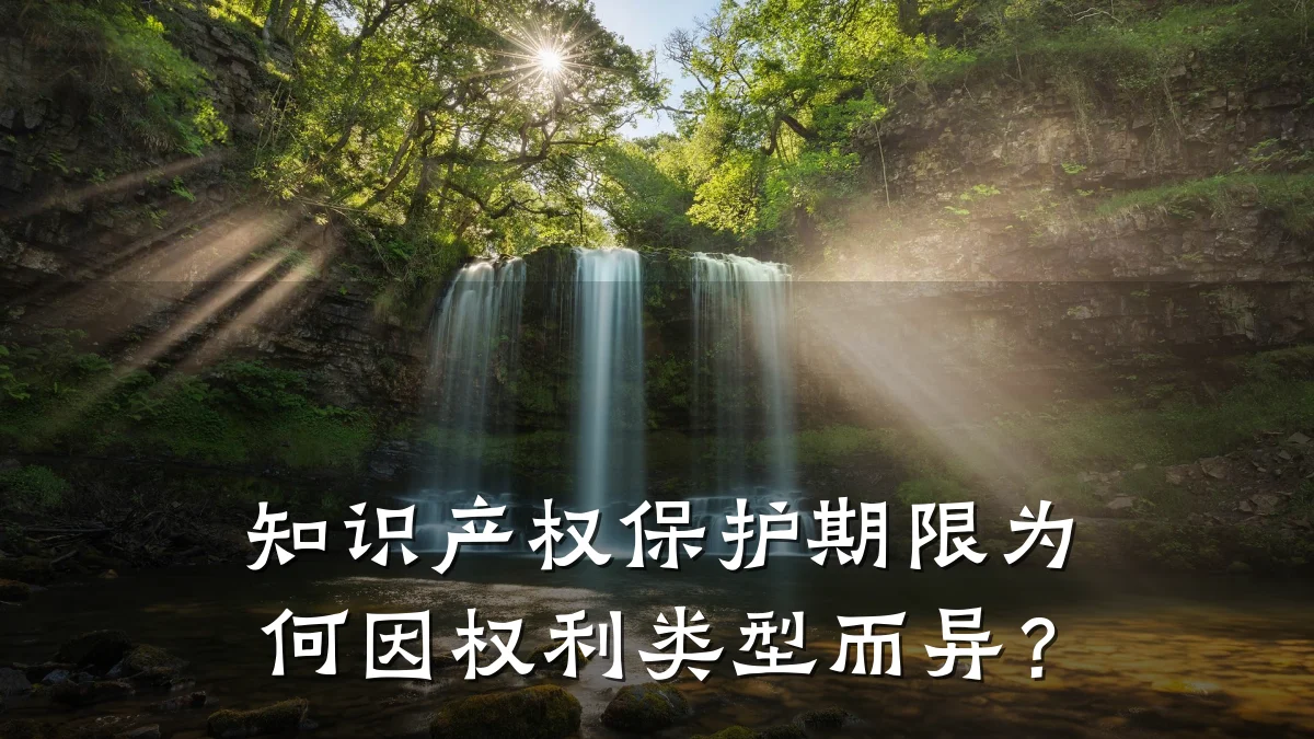 知识产权保护期限为何因权利类型而异?