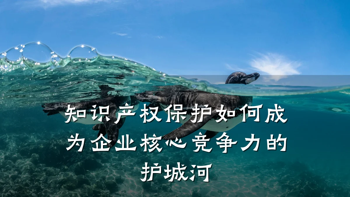 知识产权保护如何成为企业核心竞争力的护城河
