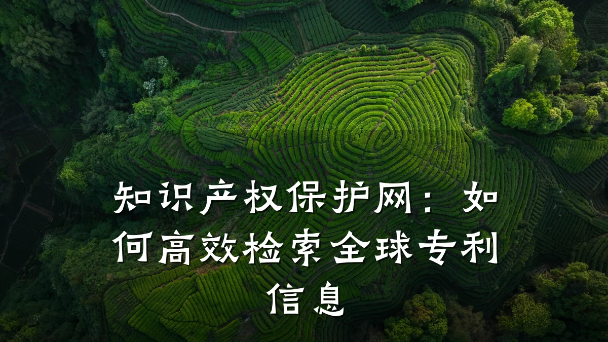 知识产权保护网：如何高效检索全球专利信息