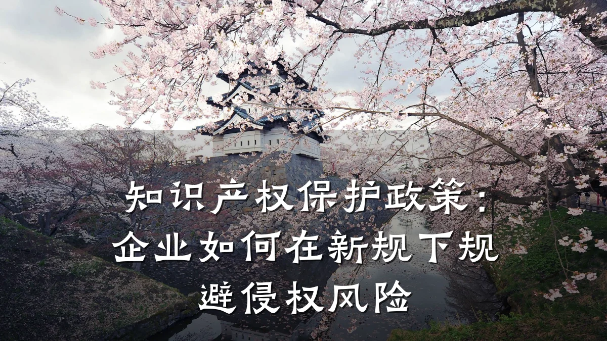 知识产权保护政策：企业如何在新规下规避侵权风险
