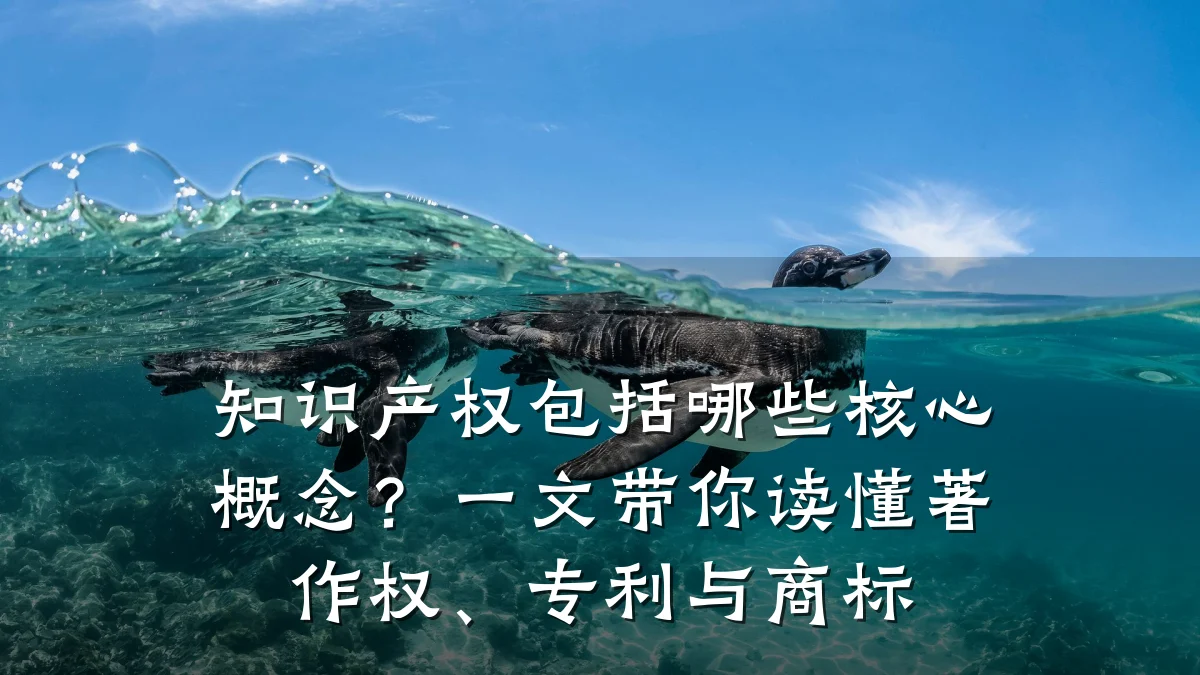 知识产权包括哪些核心概念？一文带你读懂著作权、专利与商标