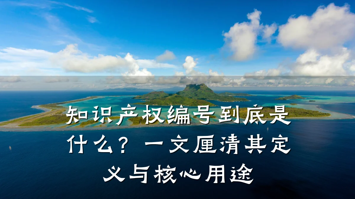 知识产权编号到底是什么?一文厘清其定义与核心用途