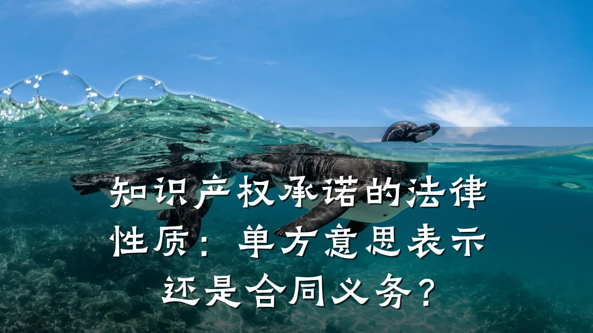 知识产权承诺的法律性质：单方意思表示还是合同义务？