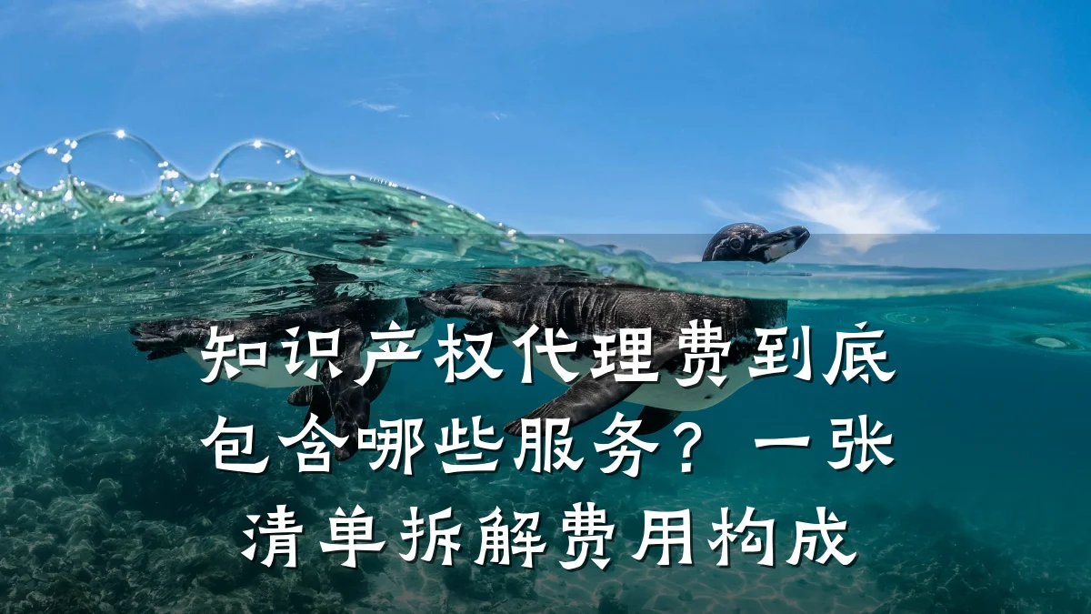 知识产权代理费到底包含哪些服务？一张清单拆解费用构成