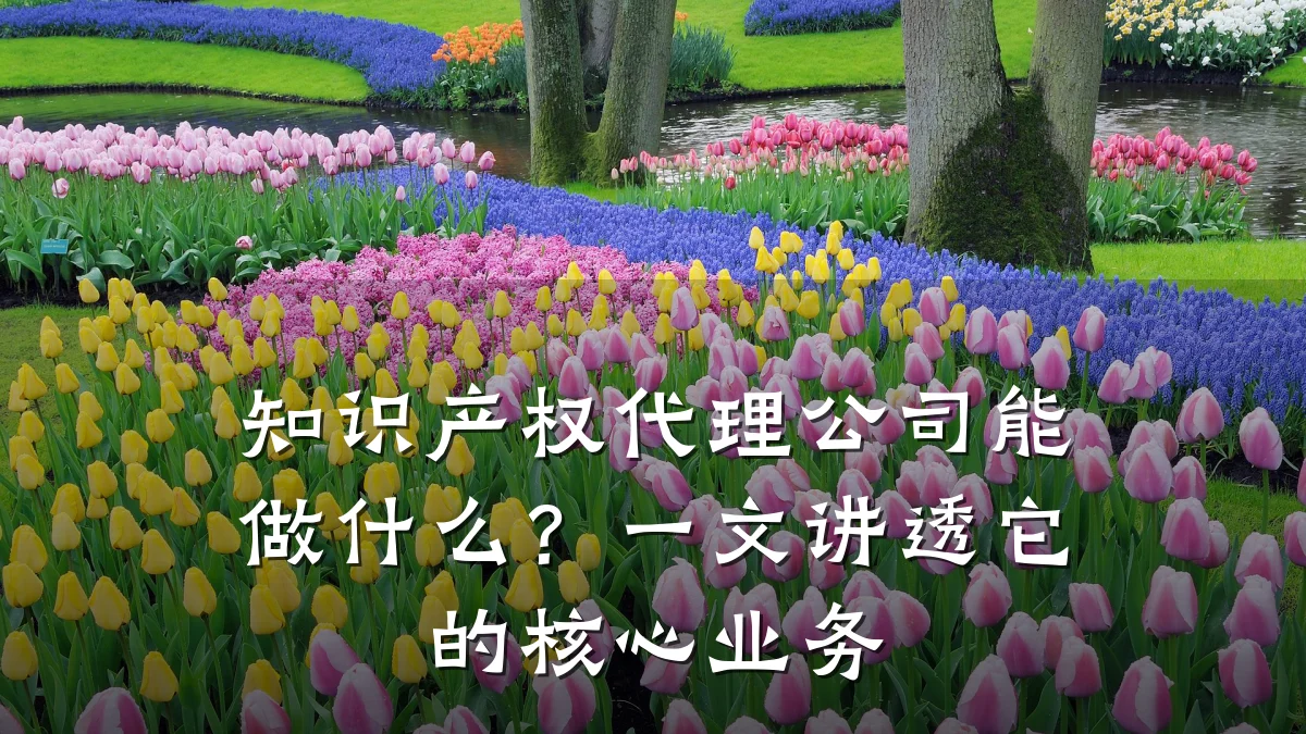 知识产权代理公司能做什么？一文讲透它的核心业务