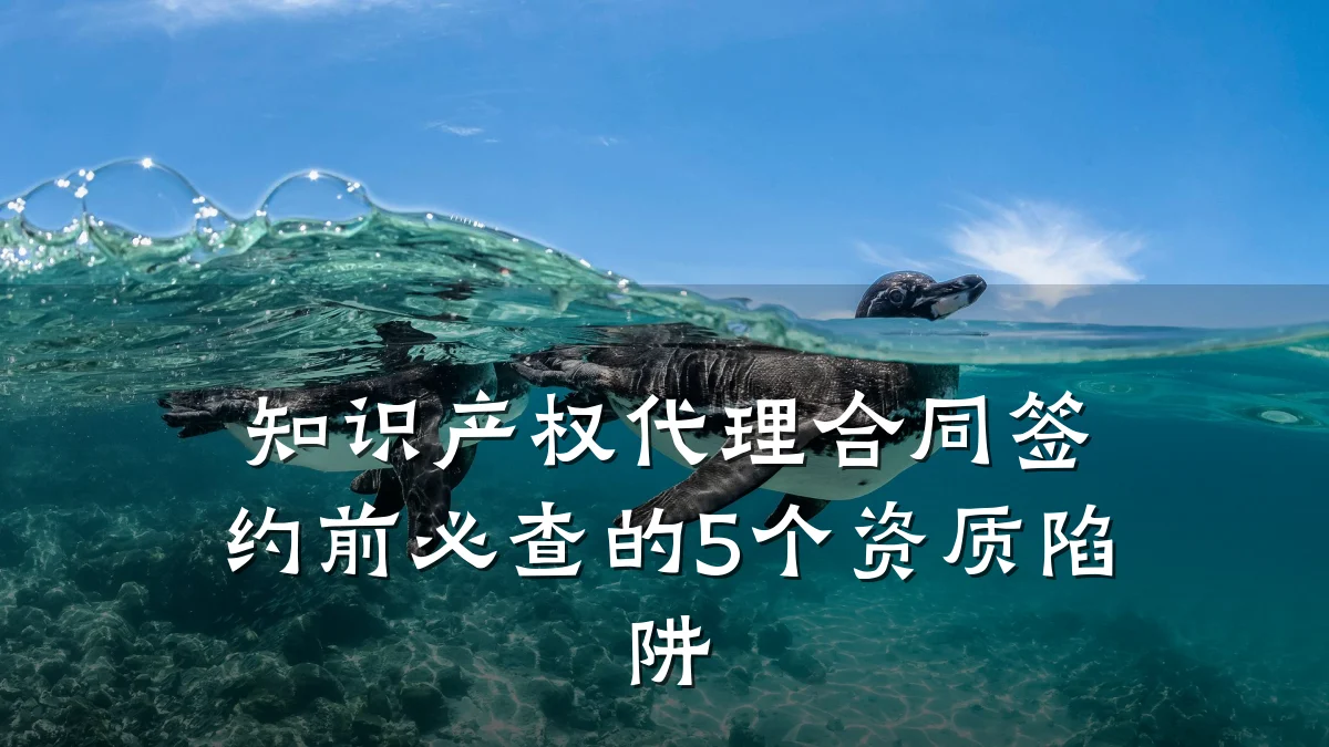 知识产权代理合同签约前必查的5个资质陷阱