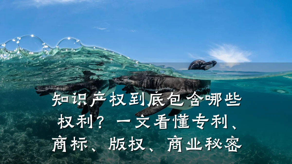 知识产权到底包含哪些权利？一文看懂专利、商标、版权、商业秘密