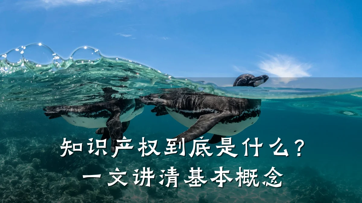 知识产权到底是什么?一文讲清基本概念