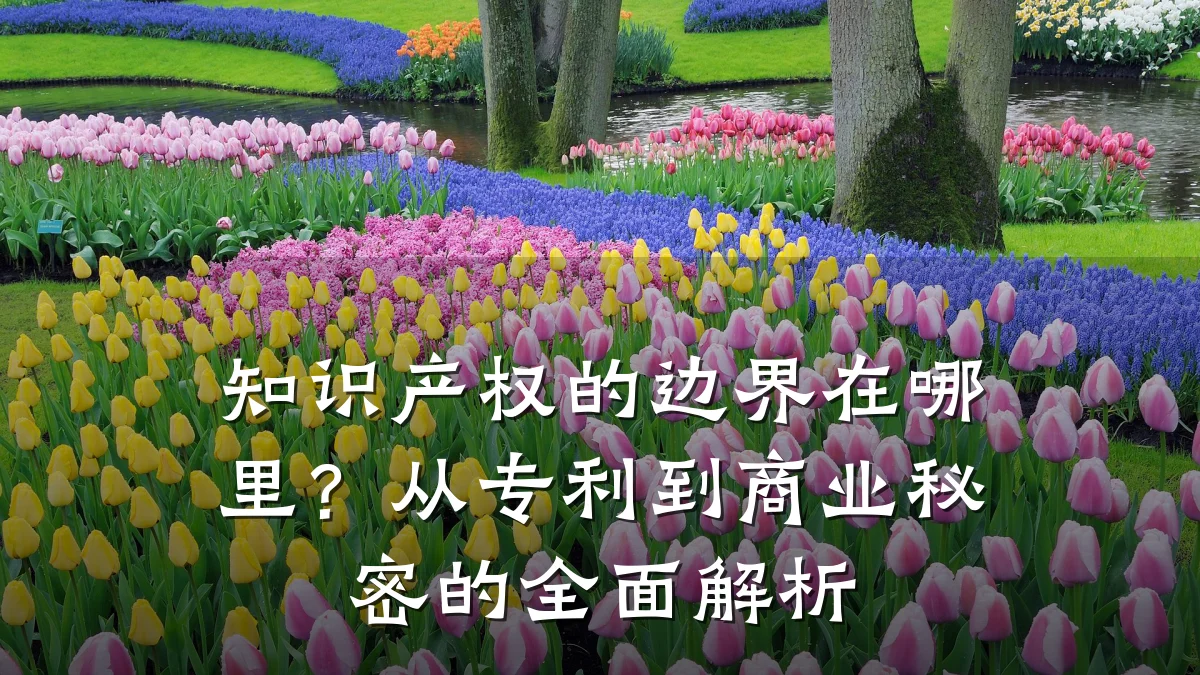 知识产权的边界在哪里？从专利到商业秘密的全面解析