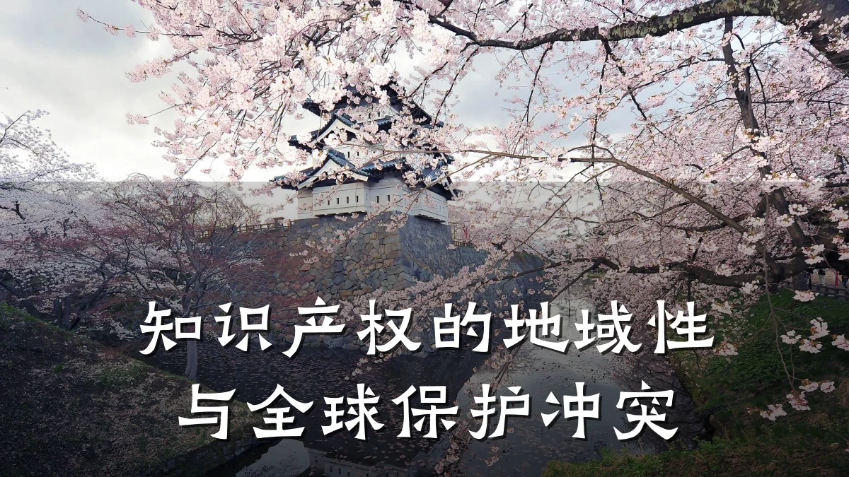 知识产权的地域性与全球保护冲突