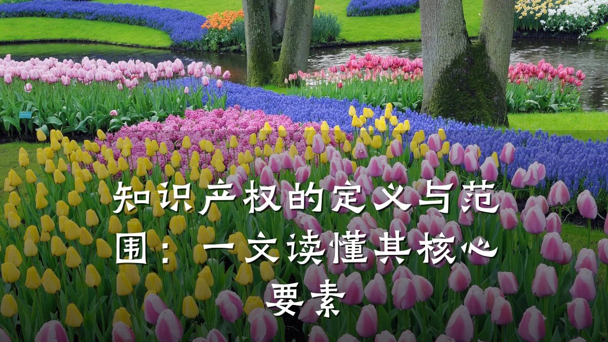 知识产权的定义与范围:一文读懂其核心要素