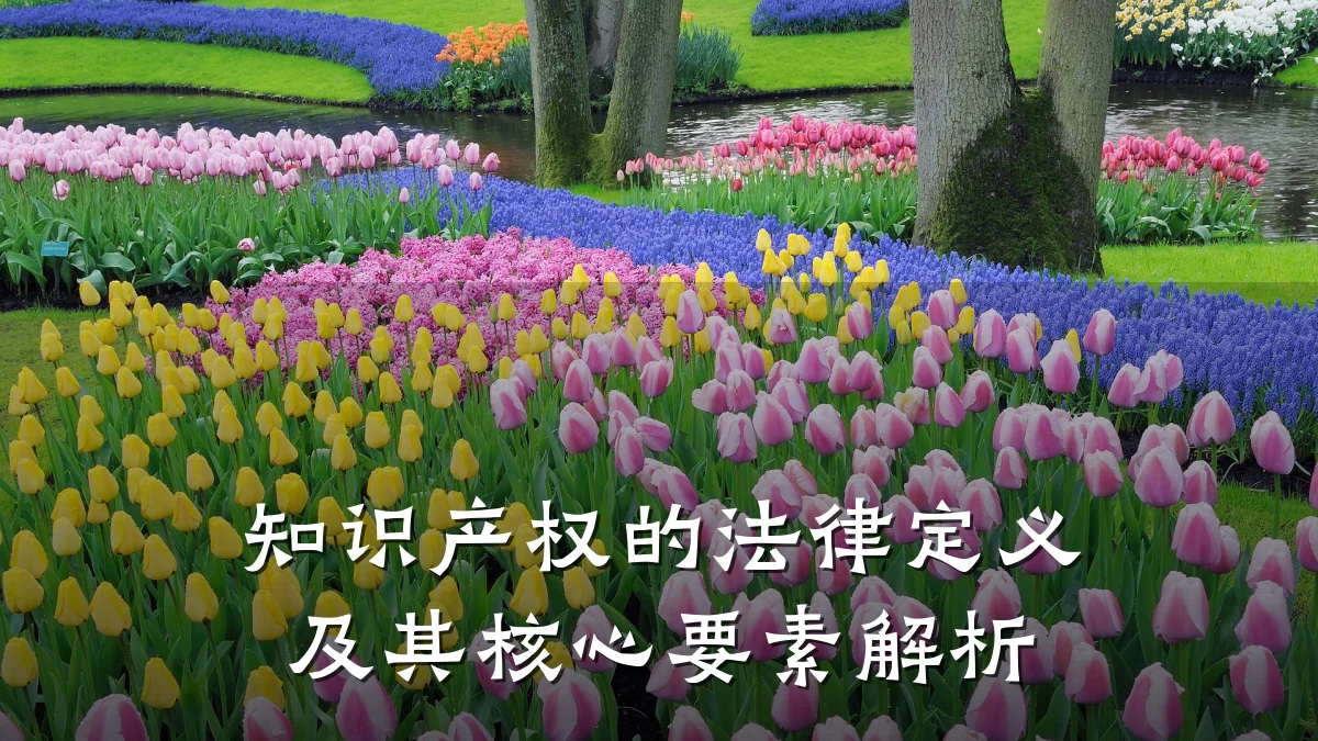 知识产权的法律定义及其核心要素解析