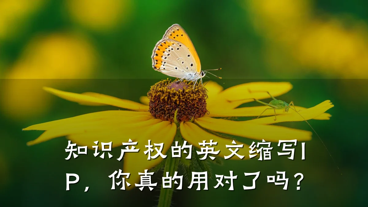 知识产权的英文缩写IP，你真的用对了吗？