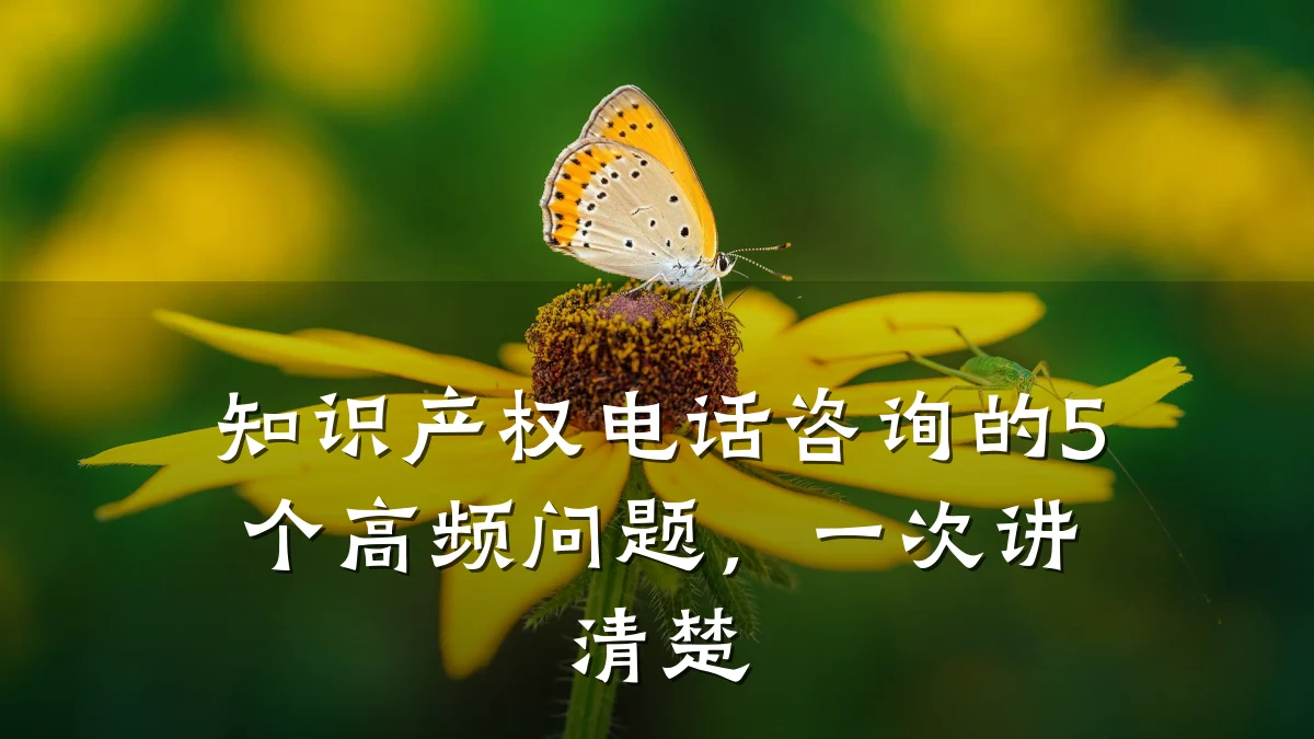 知识产权电话咨询的5个高频问题，一次讲清楚
