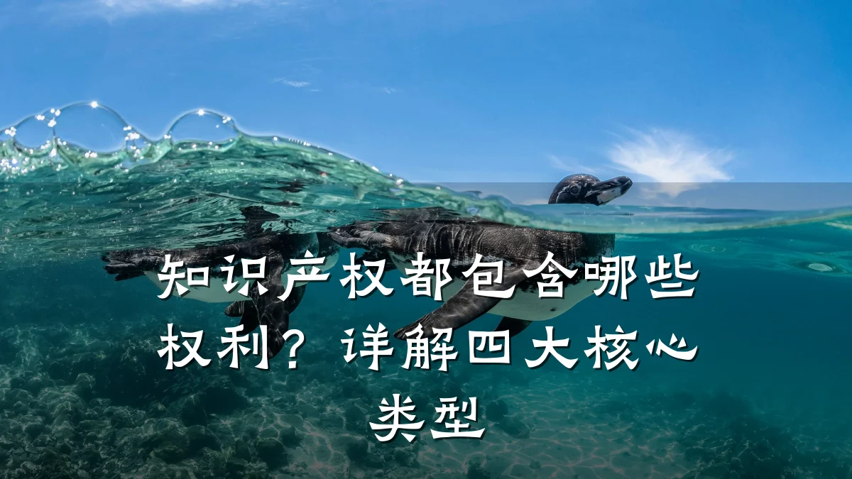 知识产权都包含哪些权利？详解四大核心类型