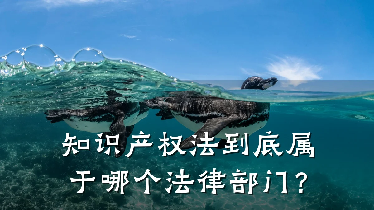 知识产权法到底属于哪个法律部门?