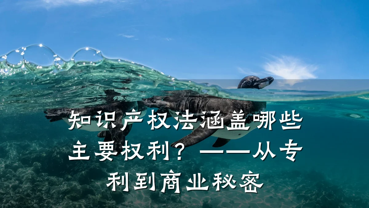 知识产权法涵盖哪些主要权利？——从专利到商业秘密