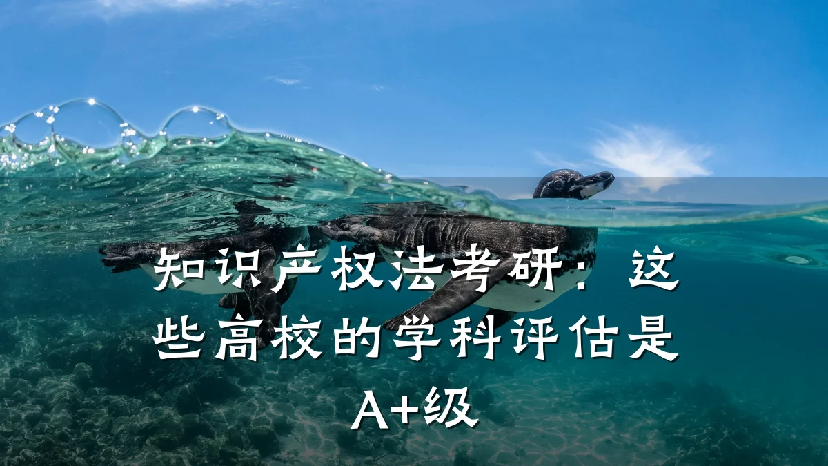 知识产权法考研：这些高校的学科评估是A+级