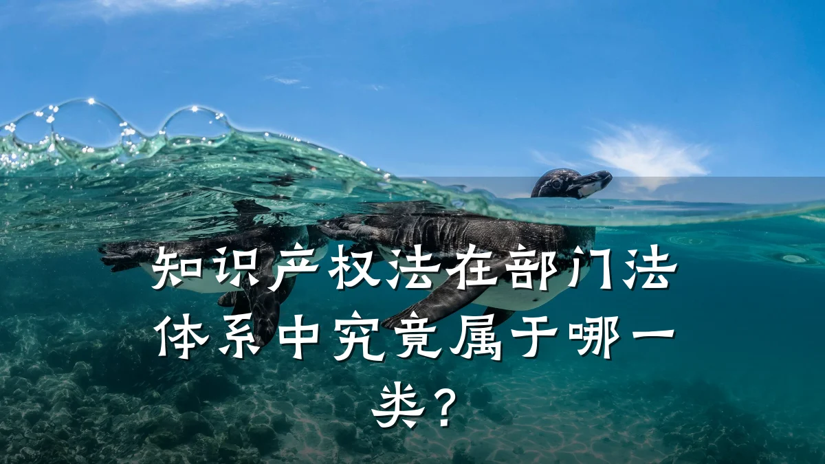 知识产权法在部门法体系中究竟属于哪一类?