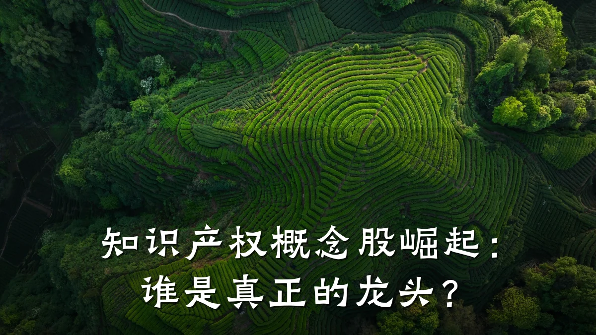 知识产权概念股崛起:谁是真正的龙头?