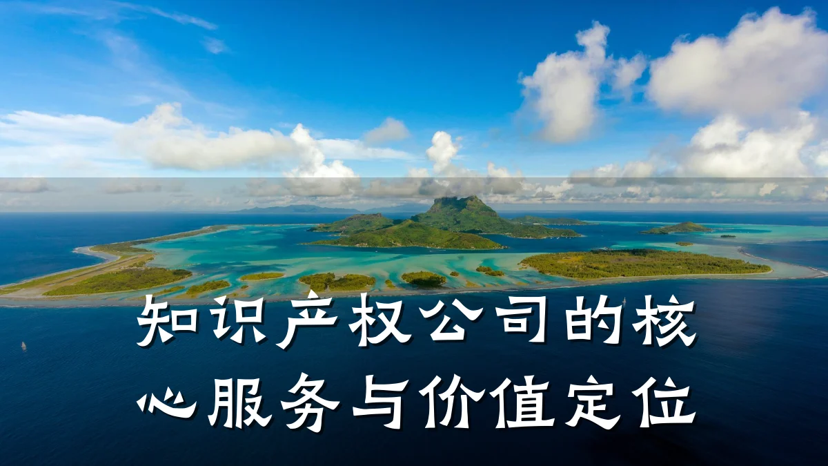 知识产权公司的核心服务与价值定位