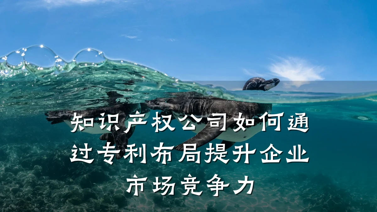 知识产权公司如何通过专利布局提升企业市场竞争力
