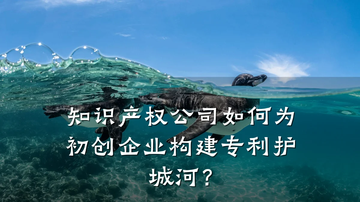 知识产权公司如何为初创企业构建专利护城河？