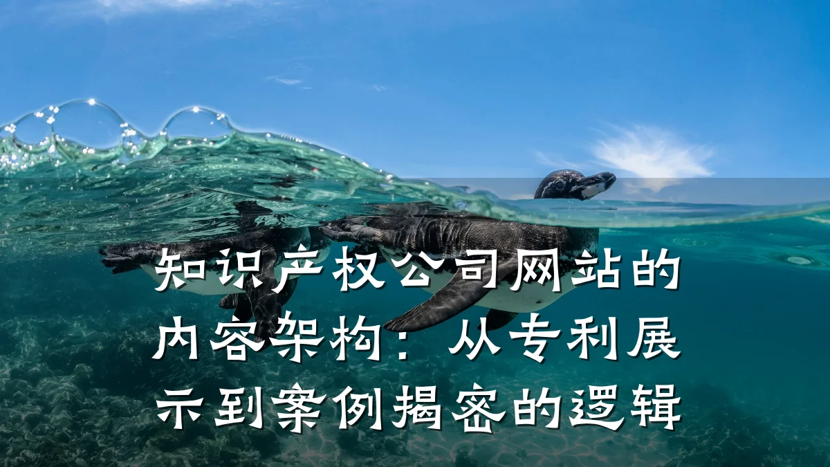 知识产权公司网站的内容架构：从专利展示到案例揭密的逻辑