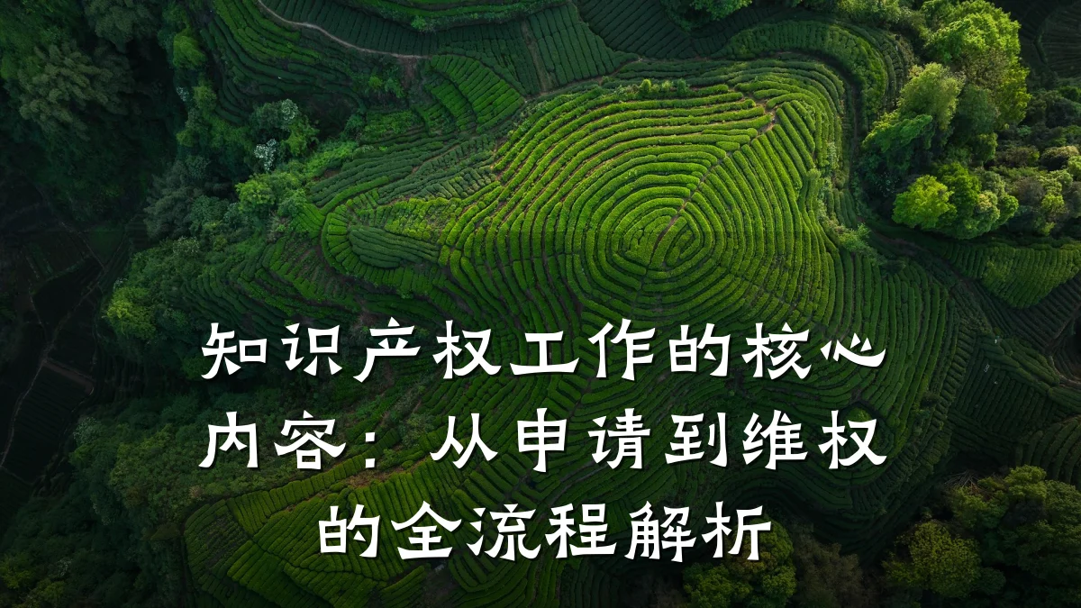 知识产权工作的核心内容:从申请到维权的全流程解析