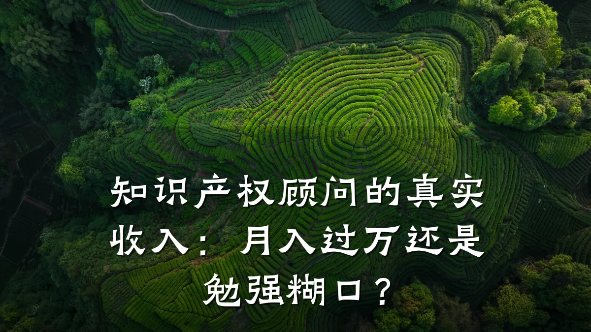 知识产权顾问的真实收入：月入过万还是勉强糊口？