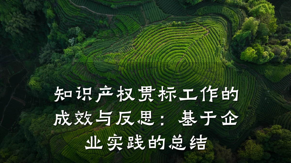 知识产权贯标工作的成效与反思：基于企业实践的总结