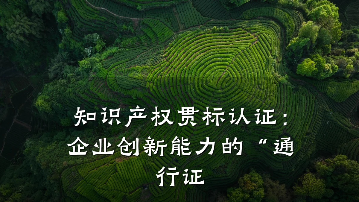 知识产权贯标认证：企业创新能力的“通行证
