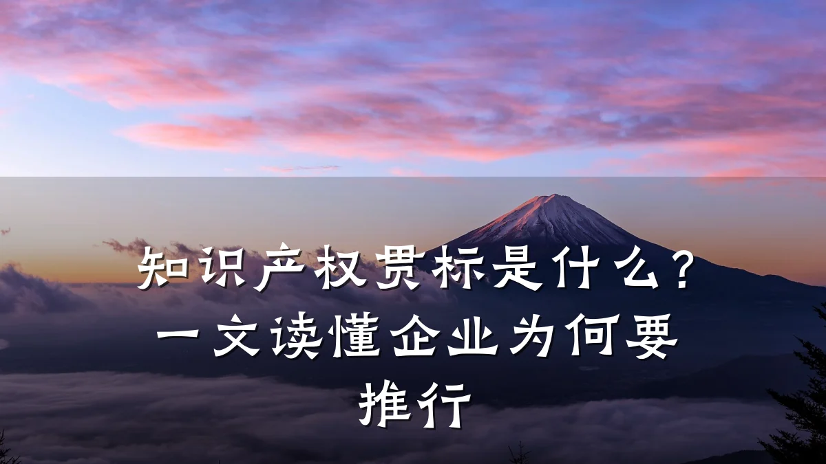 知识产权贯标是什么?一文读懂企业为何要推行