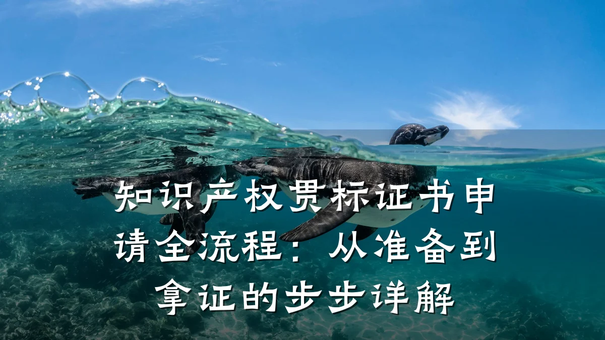知识产权贯标证书申请全流程：从准备到拿证的步步详解