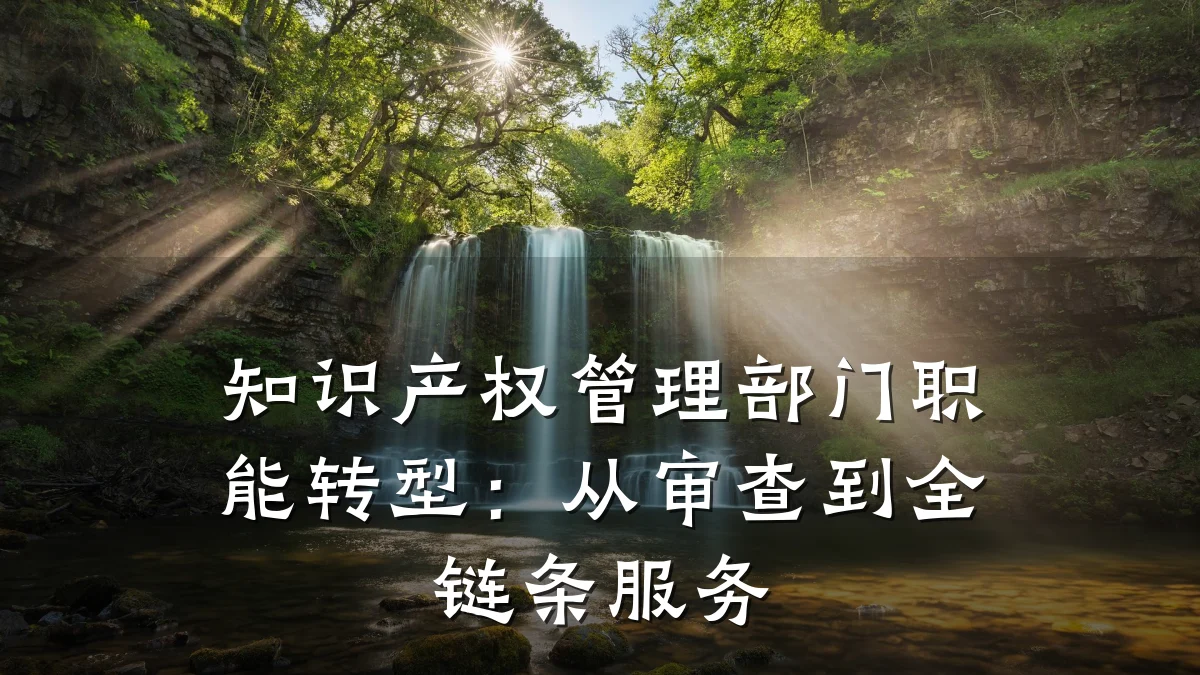 知识产权管理部门职能转型：从审查到全链条服务