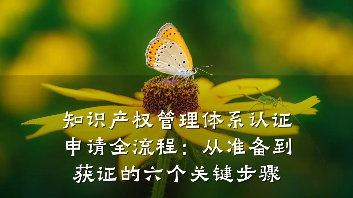 知识产权管理体系认证申请全流程：从准备到获证的六个关键步骤