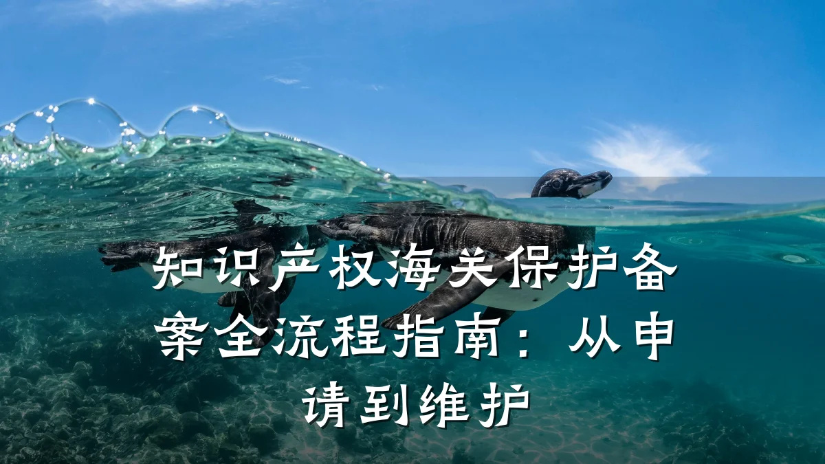 知识产权海关保护备案全流程指南：从申请到维护