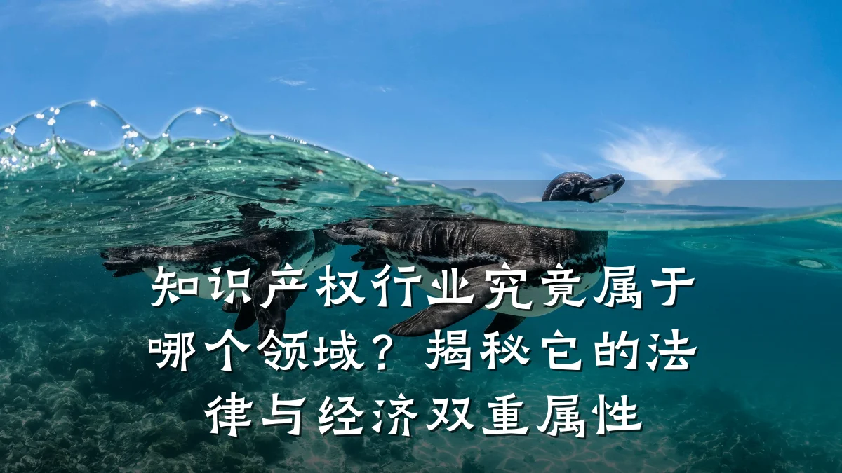 知识产权行业究竟属于哪个领域？揭秘它的法律与经济双重属性