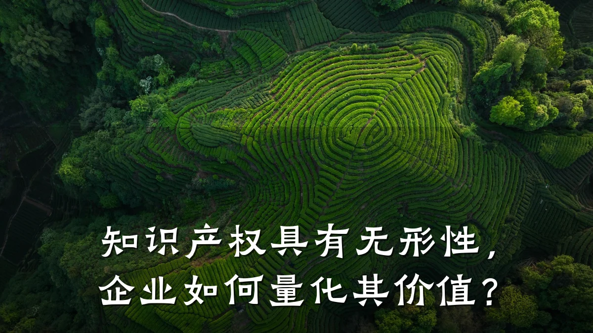 知识产权具有无形性，企业如何量化其价值？