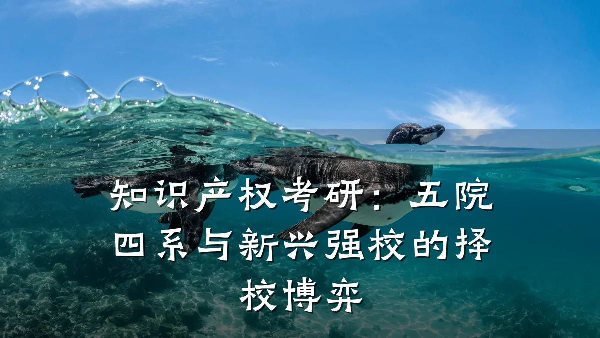 知识产权考研：五院四系与新兴强校的择校博弈