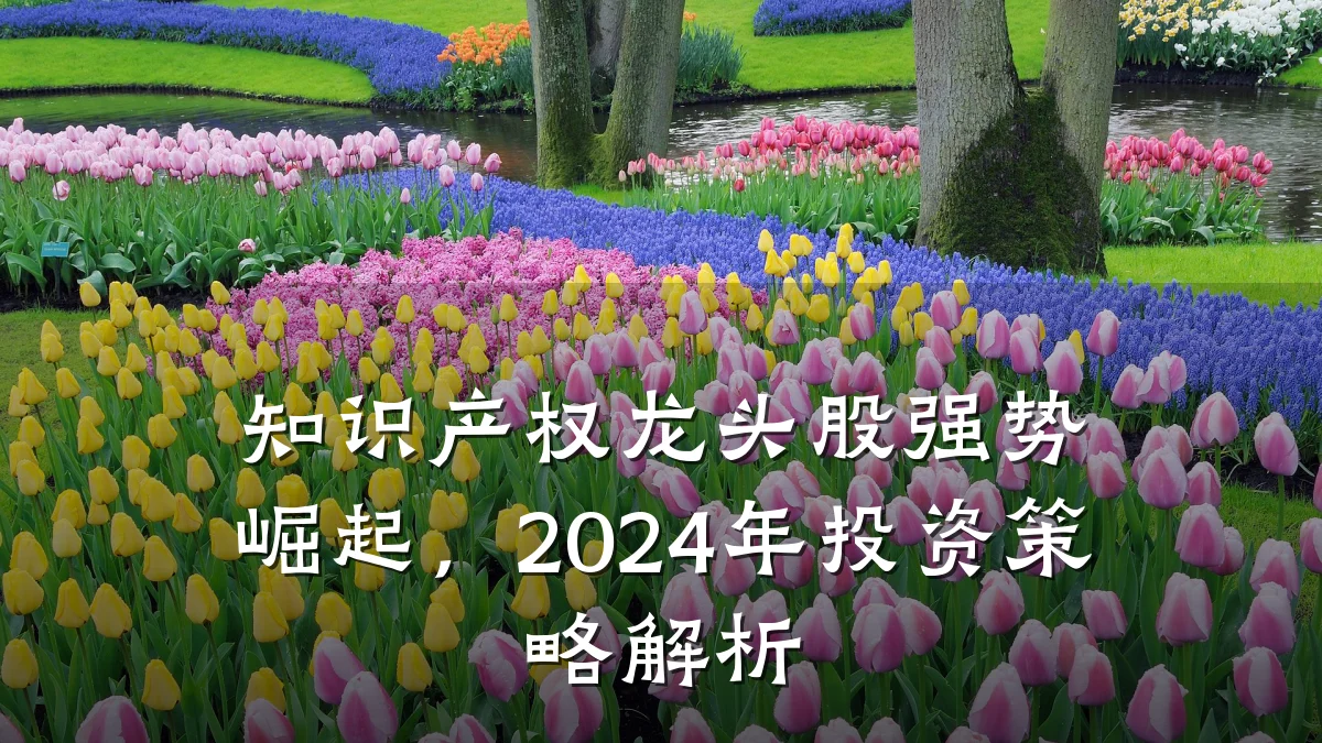知识产权龙头股强势崛起,2024年投资策略解析